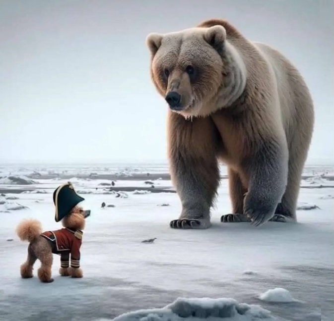 ruský medvěd reaguje na novodobého Napoleona - Macrona